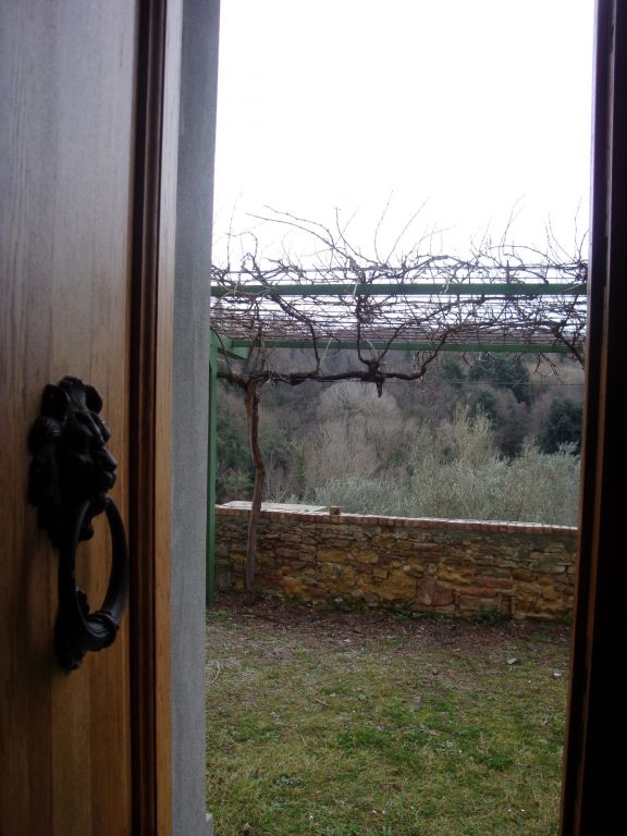 azienda agricola in vendita a Montaione