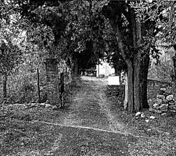 appartamento in vendita a Montaione in zona Palagio