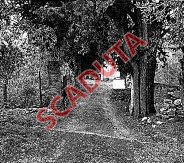 appartamento in vendita a Montaione in zona Palagio