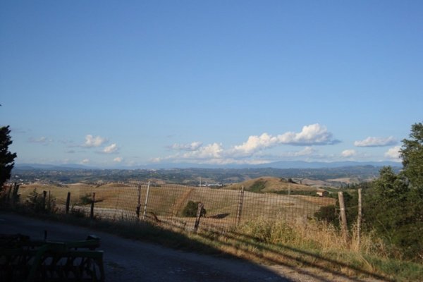 terreno agricolo in vendita a Montaione