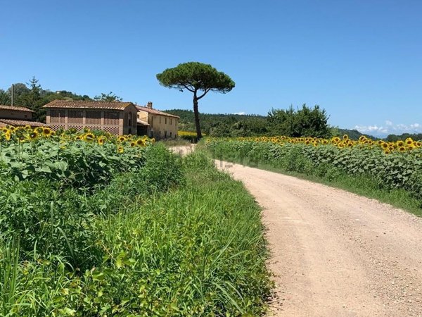 casale in vendita a Montaione