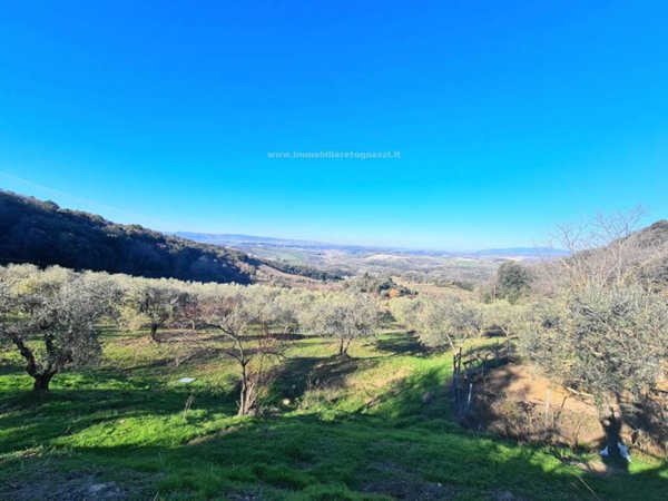 terreno agricolo in vendita a Montaione in zona Iano