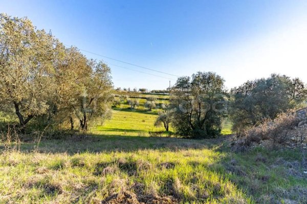 terreno agricolo in vendita a Montelupo Fiorentino