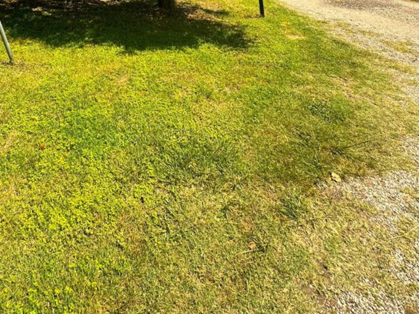 appartamento in vendita a Montelupo Fiorentino