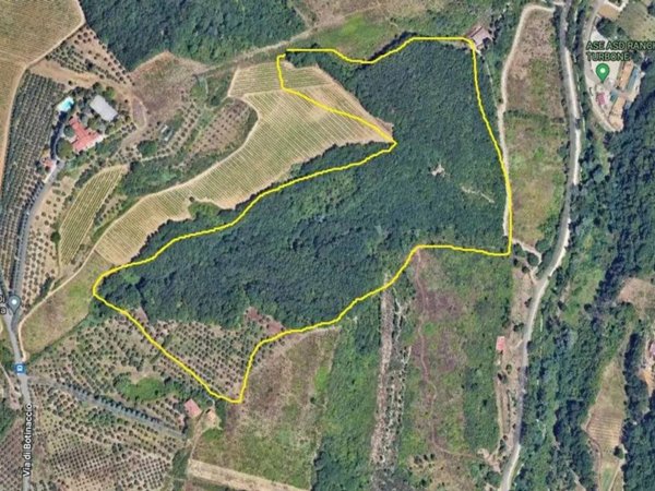 terreno agricolo in vendita a Montelupo Fiorentino in zona Turbone