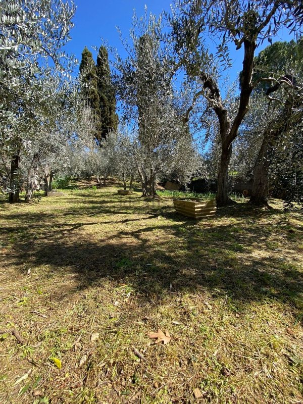 appartamento in vendita a Montelupo Fiorentino