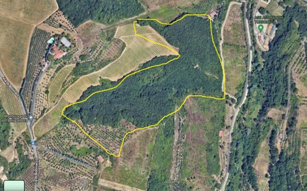 terreno agricolo in vendita a Montelupo Fiorentino in zona Turbone