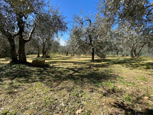 casa indipendente in vendita a Montelupo Fiorentino