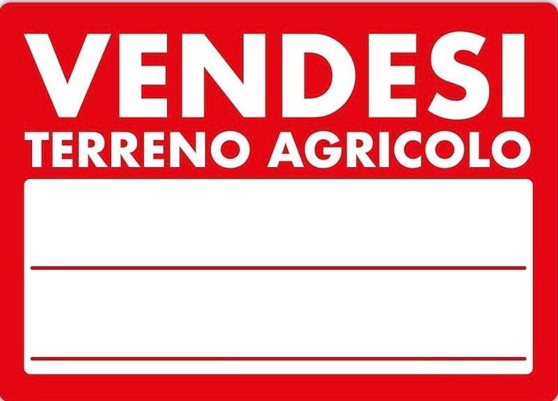 terreno agricolo in vendita a Montelupo Fiorentino