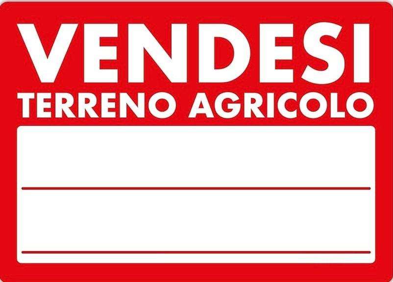terreno agricolo in vendita a Montelupo Fiorentino