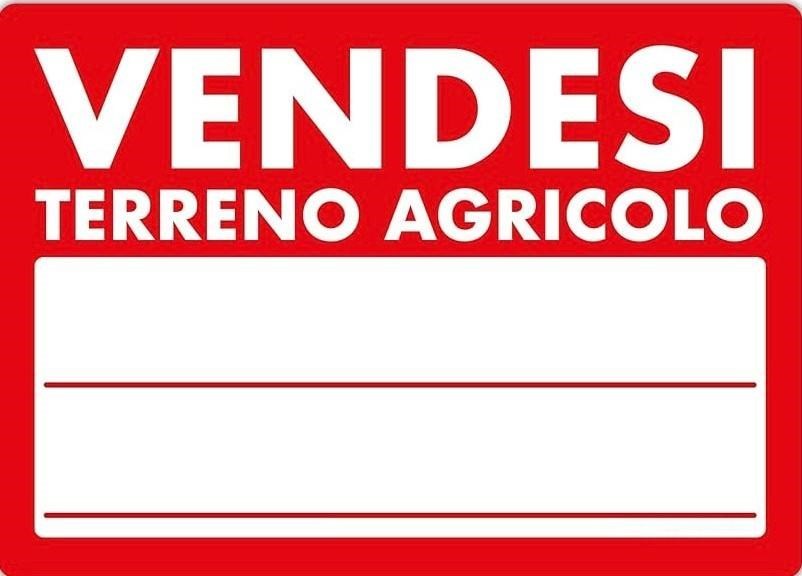 terreno agricolo in vendita a Montelupo Fiorentino