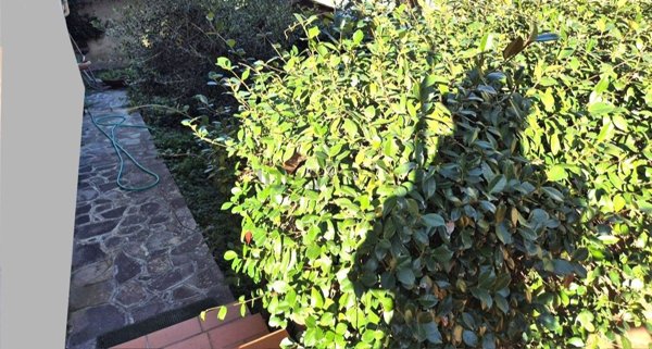 appartamento in vendita a Montelupo Fiorentino