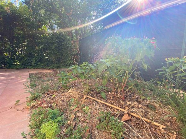 appartamento in vendita a Montelupo Fiorentino in zona Ambrogiana