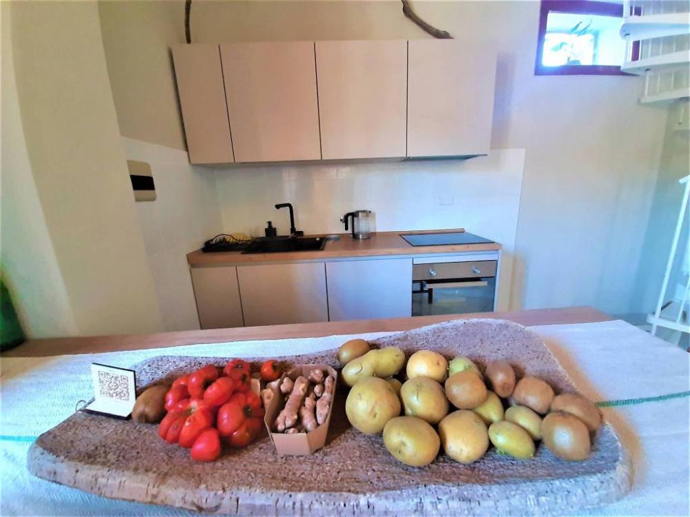 appartamento in vendita a Montelupo Fiorentino in zona Turbone