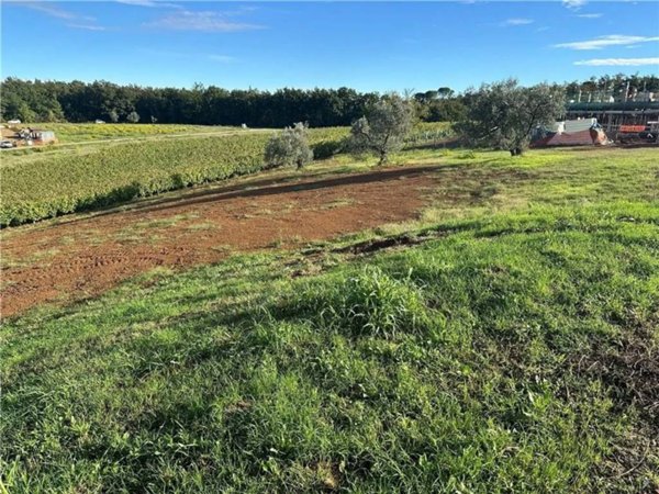 terreno agricolo in vendita a Montelupo Fiorentino