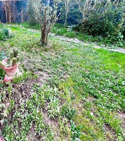 appartamento in vendita a Montelupo Fiorentino