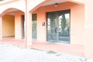 negozio in vendita a Montelupo Fiorentino