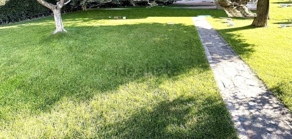 appartamento in vendita a Montelupo Fiorentino