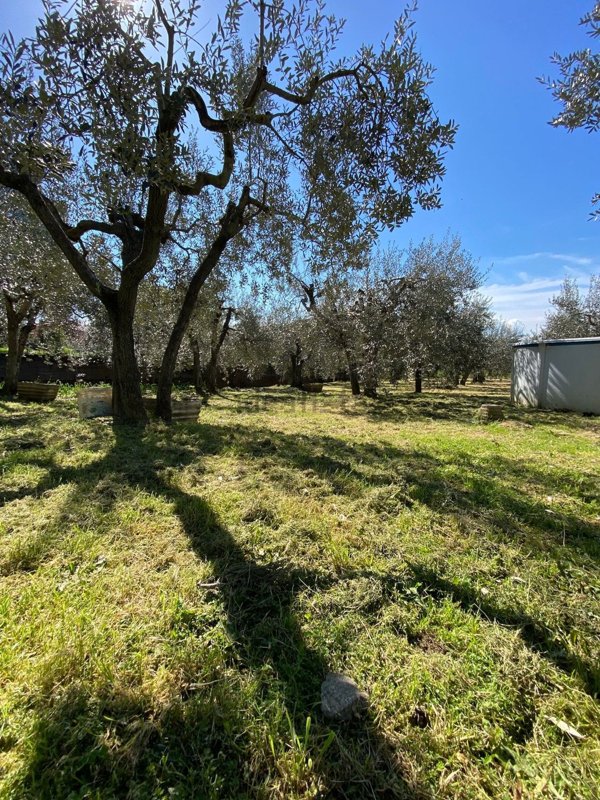 appartamento in vendita a Montelupo Fiorentino