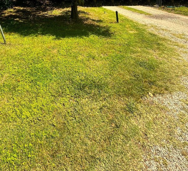 appartamento in vendita a Montelupo Fiorentino