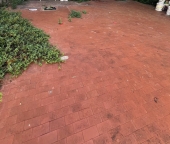 negozio in vendita a Montelupo Fiorentino