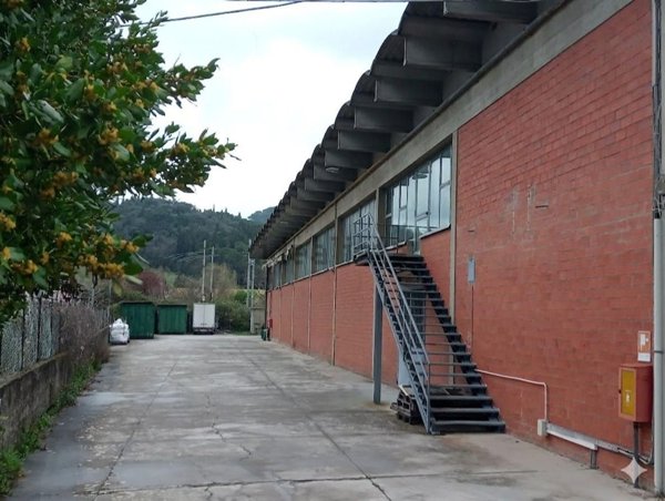 capannone in vendita a Montelupo Fiorentino