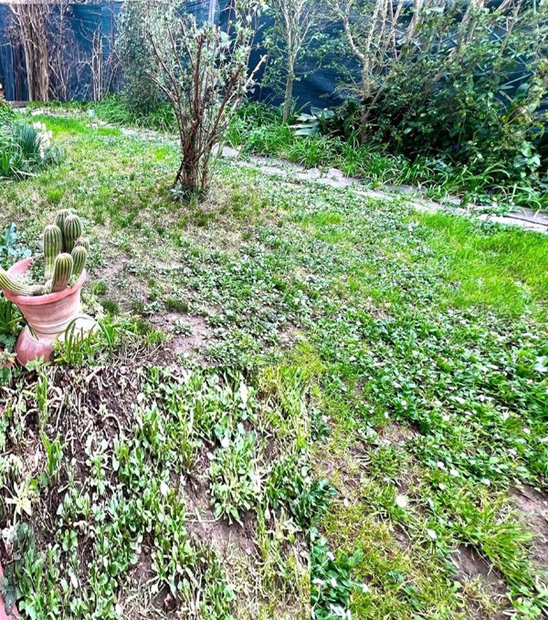 appartamento in vendita a Montelupo Fiorentino in zona Sammontana