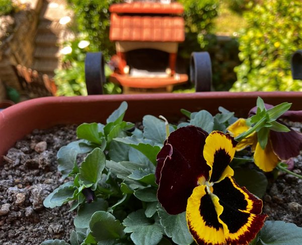 appartamento in vendita a Montelupo Fiorentino