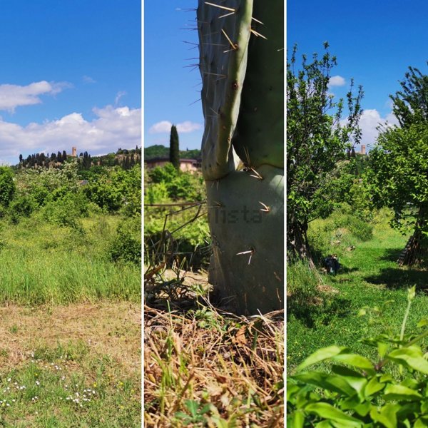 terreno agricolo in vendita a Montelupo Fiorentino