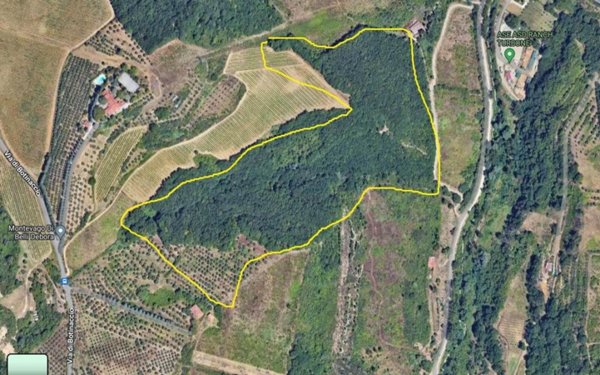terreno agricolo in vendita a Montelupo Fiorentino in zona Turbone