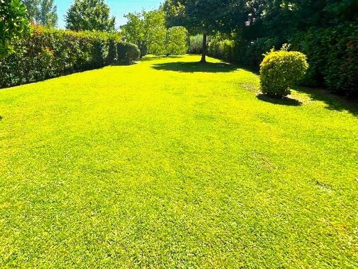 casa indipendente in vendita a Montelupo Fiorentino in zona Citerna