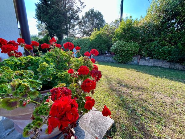 casa indipendente in vendita a Montelupo Fiorentino in zona Pulica