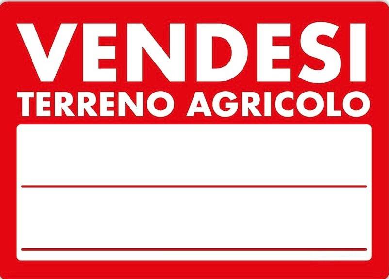 terreno agricolo in vendita a Montelupo Fiorentino in zona Ambrogiana