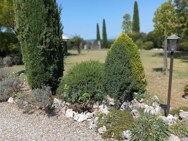 casa indipendente in vendita a Montespertoli