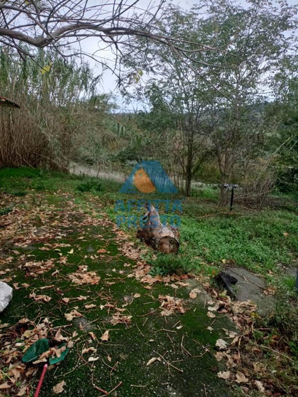 casa indipendente in vendita a Montespertoli