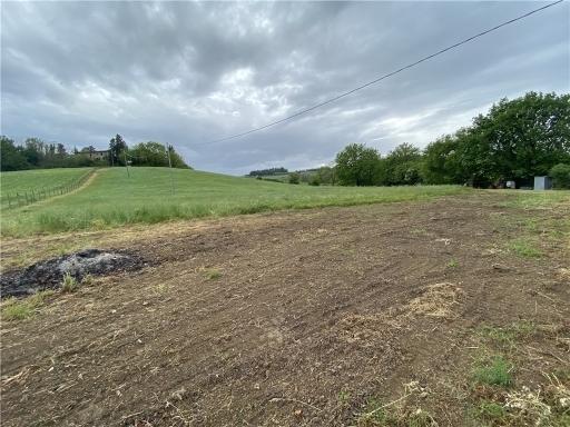 terreno agricolo in affitto a Montespertoli