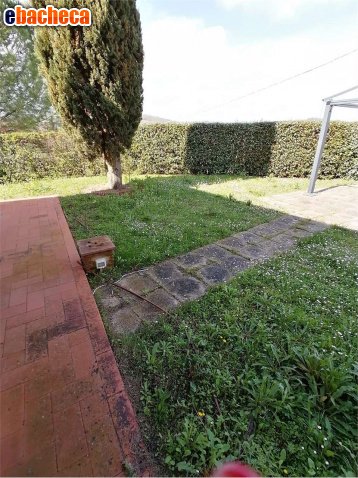 appartamento in vendita a Montespertoli