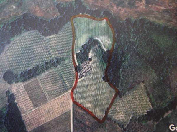 terreno agricolo in vendita a Montespertoli in zona Ortimino