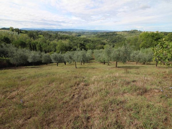 terreno agricolo in vendita a Montespertoli