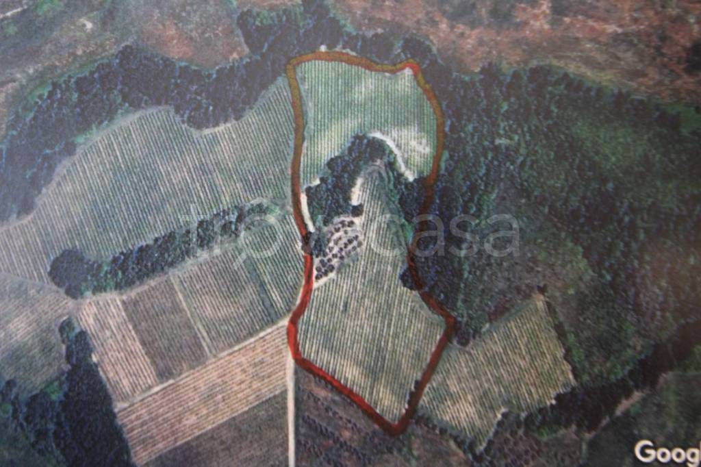 terreno agricolo in vendita a Montespertoli in zona Ortimino