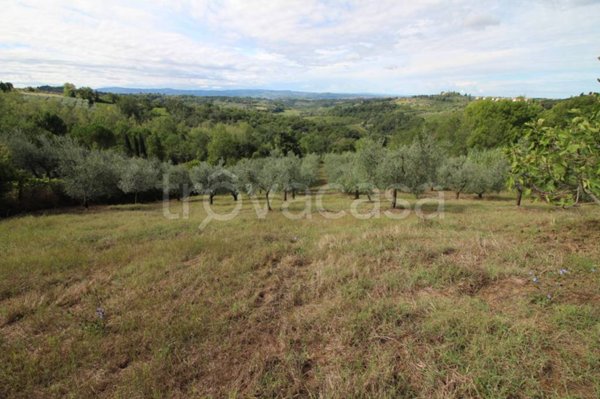 terreno agricolo in vendita a Montespertoli