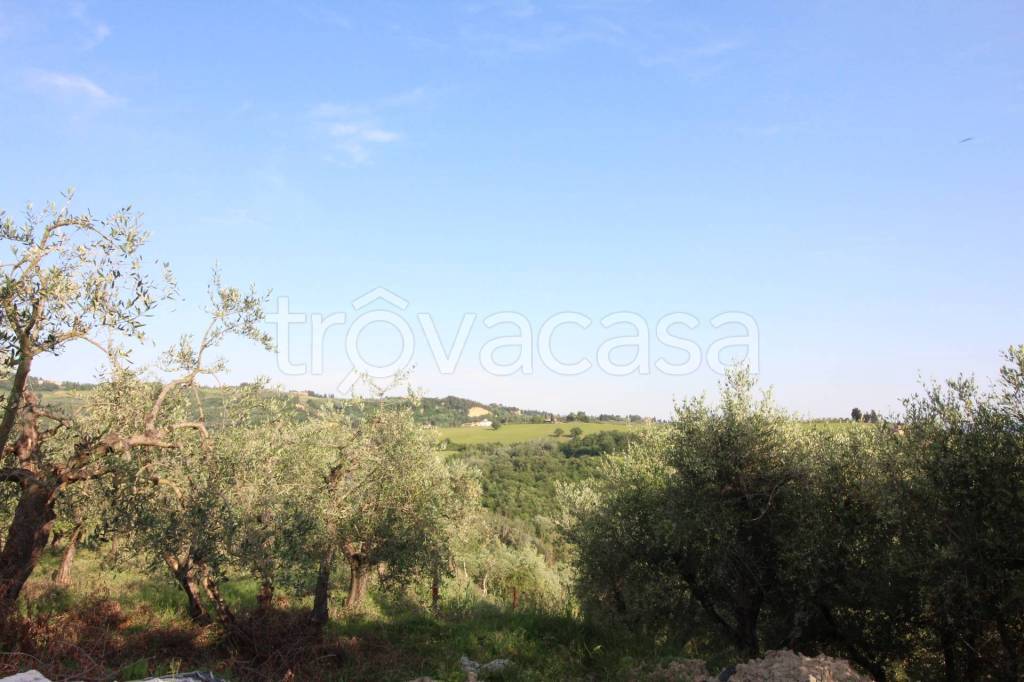 terreno agricolo in vendita a Montespertoli