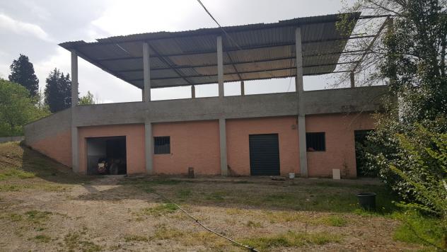 terreno agricolo in vendita a Montespertoli
