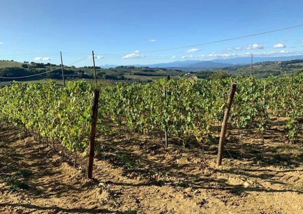 azienda agricola in vendita a Montespertoli