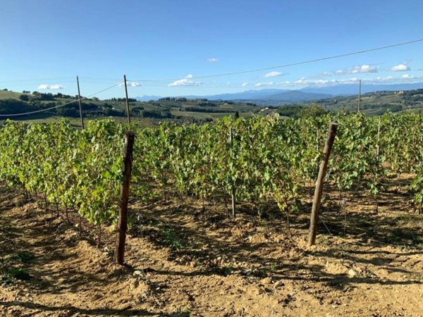 casale in vendita a Montespertoli