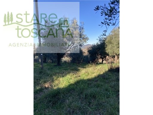 terreno agricolo in vendita a Montespertoli in zona La Ripa