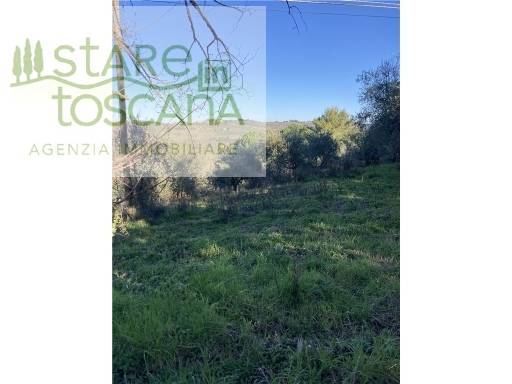 terreno agricolo in vendita a Montespertoli