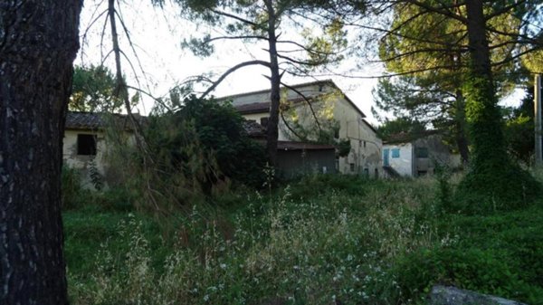 azienda agricola in vendita a Montespertoli
