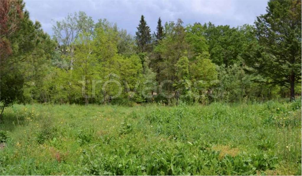 appartamento in vendita a Montespertoli