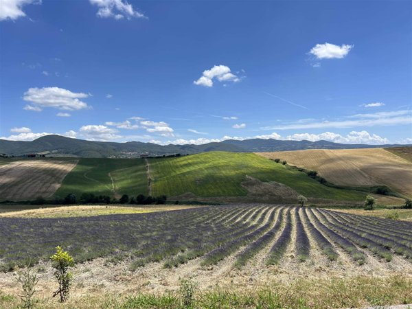 casa indipendente in vendita a Montespertoli